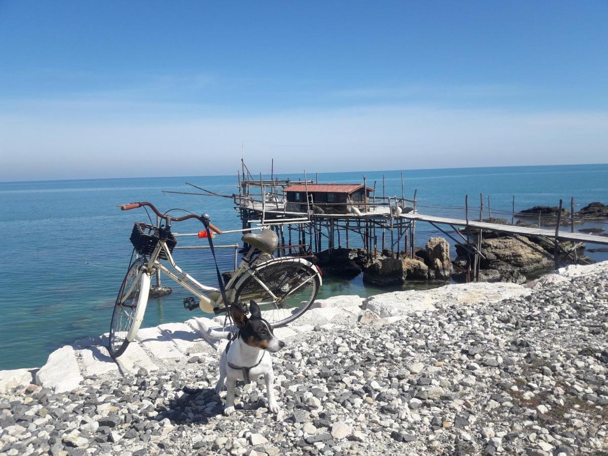 Casa A 20 Metri Dal Mare! Leilighet Fossacesia Eksteriør bilde